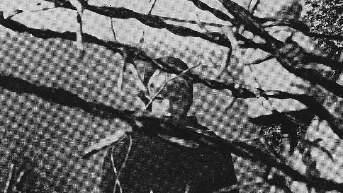 Radio Free Europe 1966: A Girl Behind Barbed Wire Fence Ad
